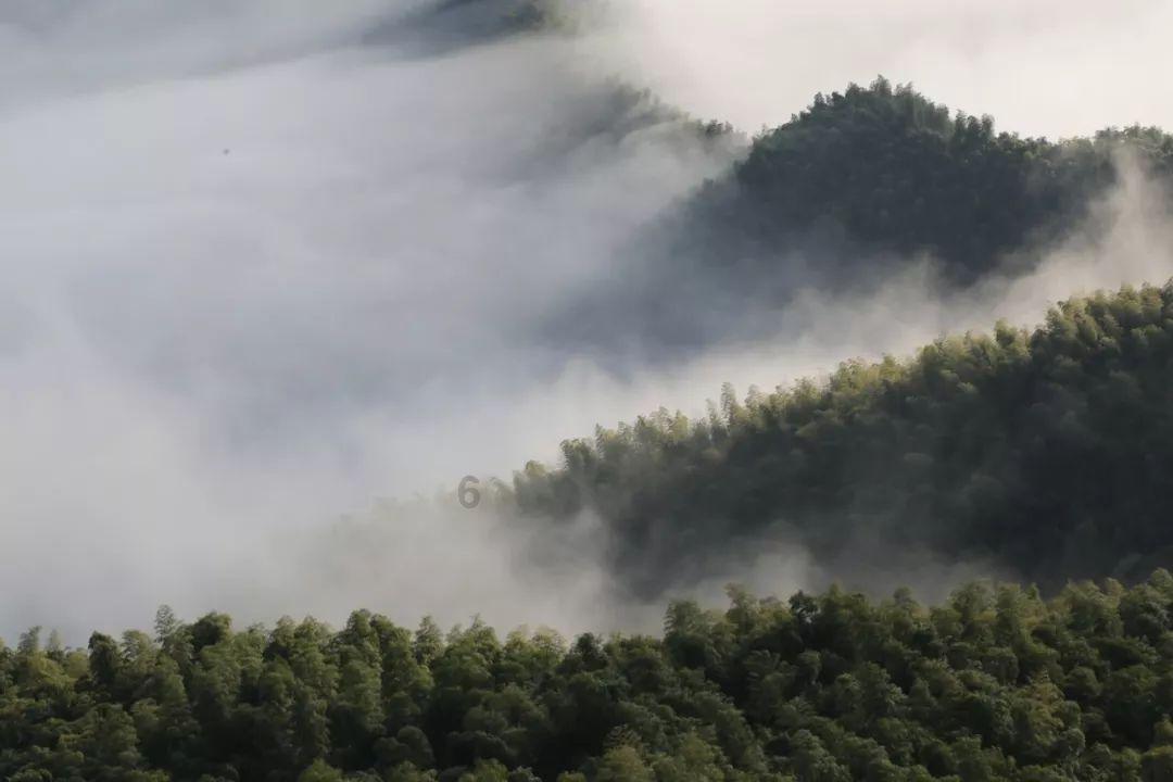 逃出海洋城堡