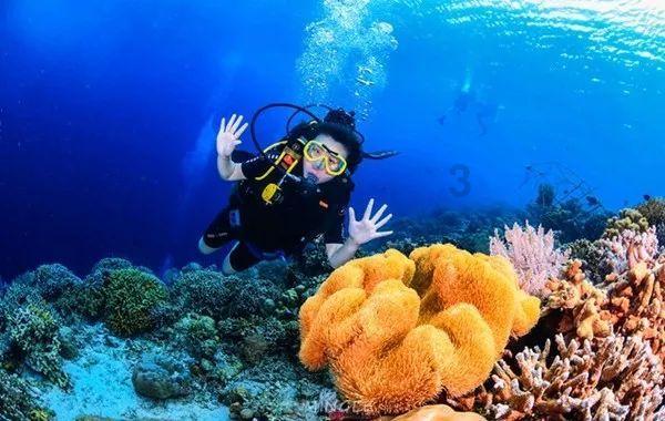 大摩：予恒隆地产目标价13.5港元 评级“增持”